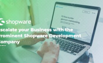 shopware development company