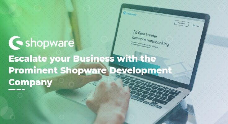 shopware development company