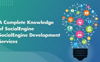 Social Engine Development Services